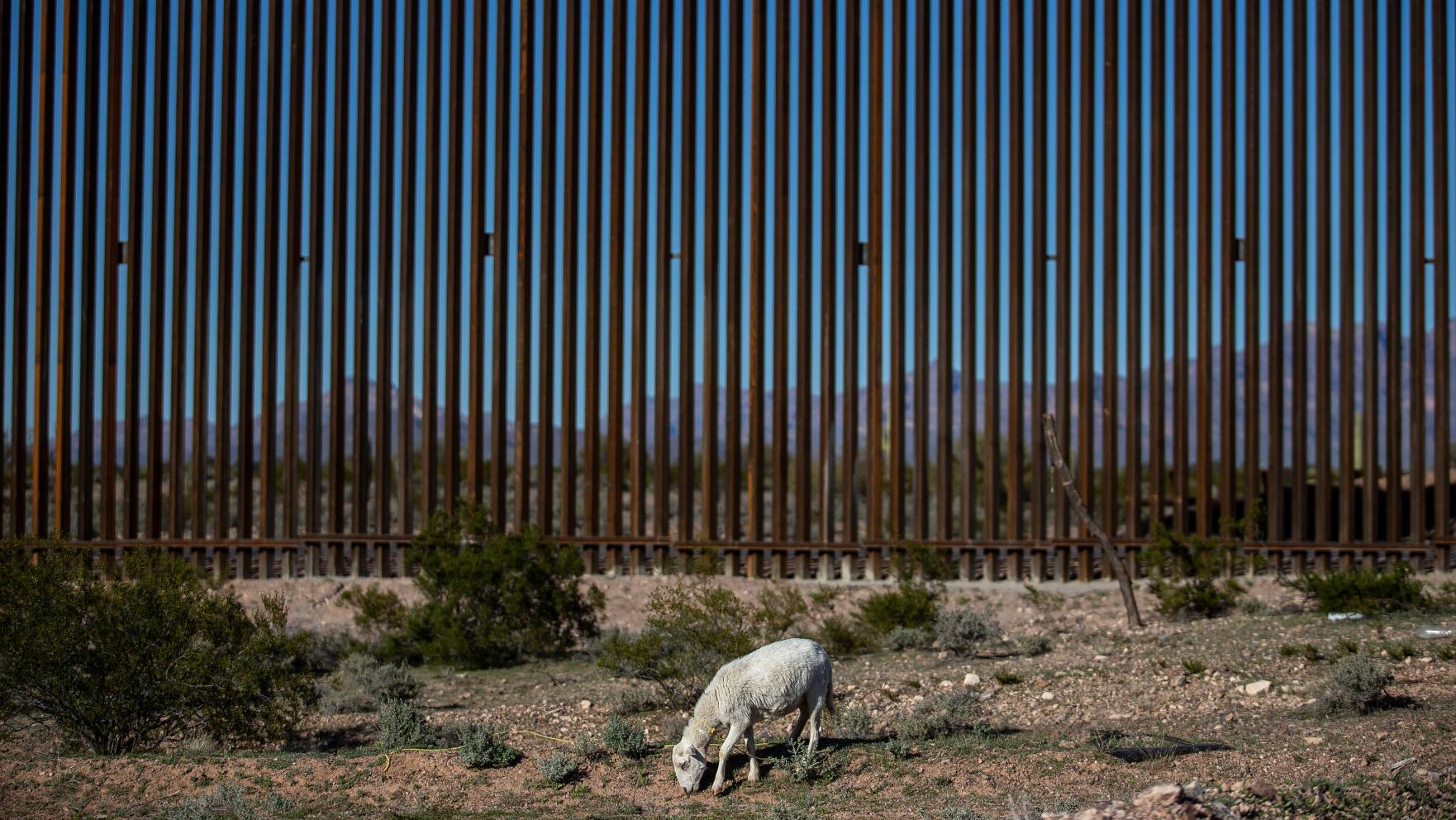 74 more miles of border wall set to go up in Arizona, feds say
